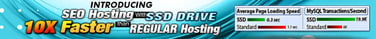 Banner depicting SEO hosting packages