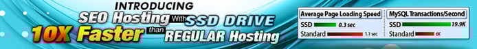 Banner depicting SEO hosting packages Banner depicting SEO hosting packages