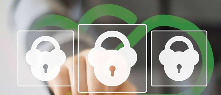 Steadfast logo and locks