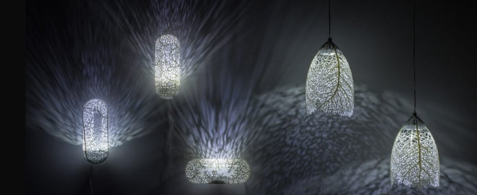 A photo of Hyphae Lamp Families by Margaret Swanson A photo of Hyphae Lamp Families by Margaret Swanson