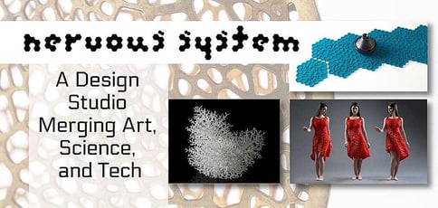 The Nervous System Design Studio: Using Technology to Breathe Life into a Body of Work Inspired by Natural Phenomena The Nervous System Design Studio: Using Technology to Breathe Life into a Body of Work Inspired by Natural Phenomena