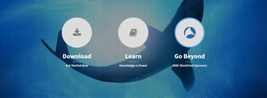 Graphic depicting Wireshark's features