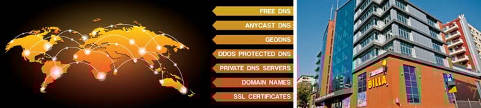 Screenshot of ClouDNS clients graphic