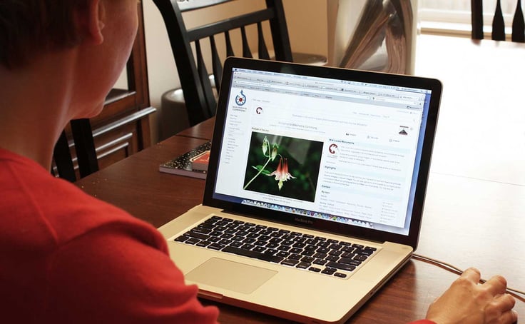 Image of someone using a laptop