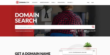 Screenshot of Domain.com domain registrations