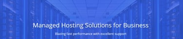 Managed Hosting Solutions for Business
