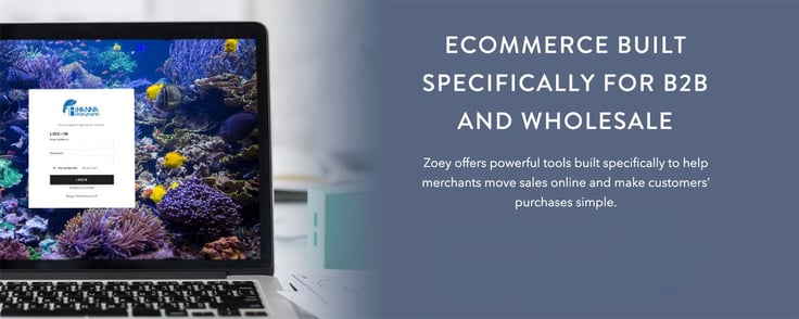 Ecommerce built specifically for B2B and wholesale