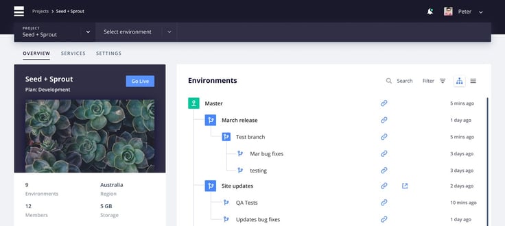 Screenshot of Platform.sh dashboard