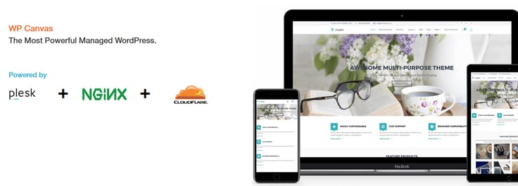 Screenshot of WP Canvas offering