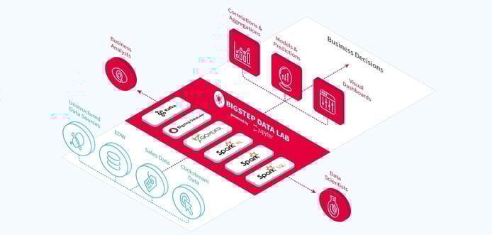 Graphic of Bigstep Metal Cloud data analysis process Graphic of Bigstep Metal Cloud data analysis process