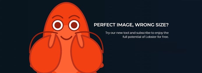 Lobster Super Resolution feature Lobster Super Resolution feature
