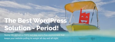 Smart Managed WordPress Services