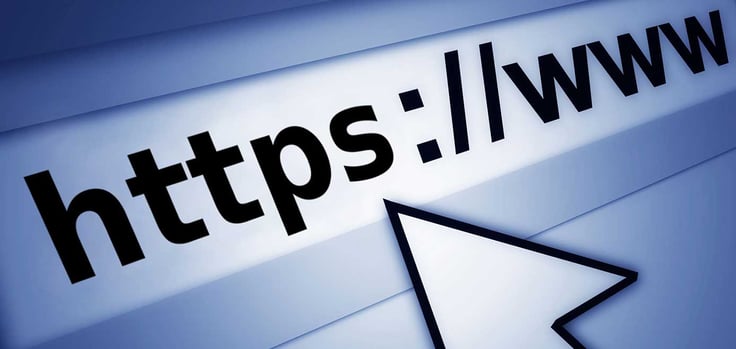 Illustration of a domain name in a web browser Illustration of a domain name in a web browser