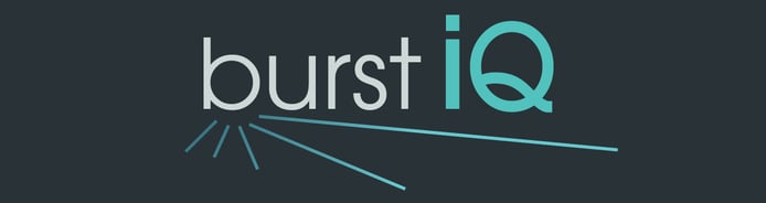BurstIQ logo BurstIQ logo
