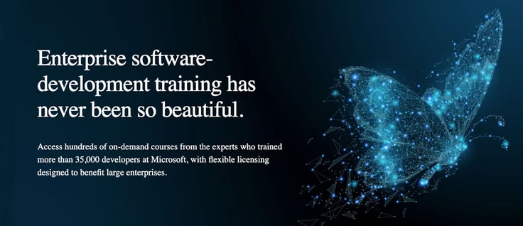Enterprise software-development training has never been so beautiful