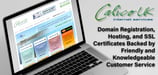 Calico UK: Domain Registration, Hosting, and SSL Certificates Backed by Friendly and Knowledgeable Customer Service