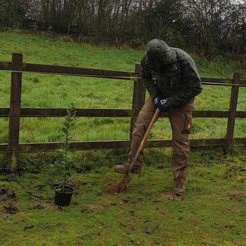 Photo of Eco Web Hosting employee planting a tree