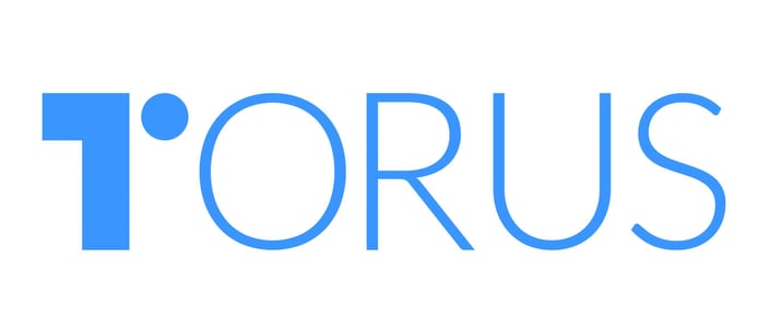 Torus logo Torus logo
