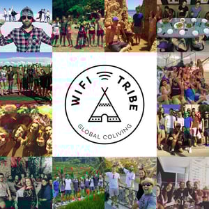 Wifi Tribe Wifi Tribe