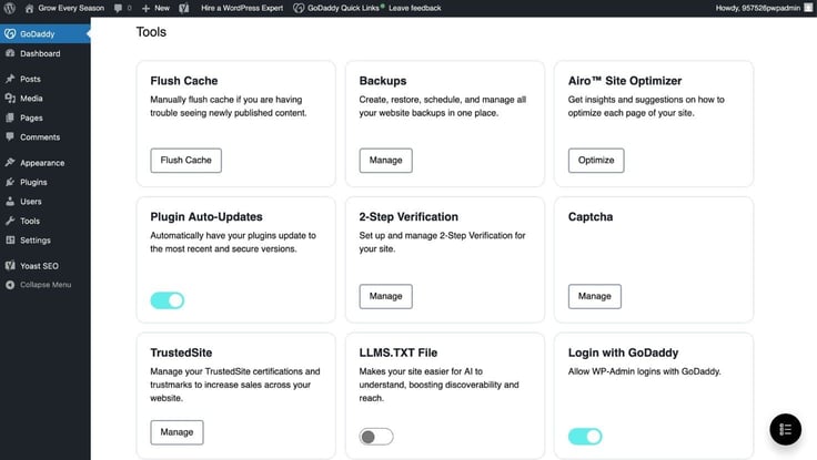 GoDaddy WordPress tools GoDaddy WordPress tools