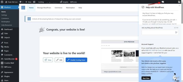 WordPress live site notification