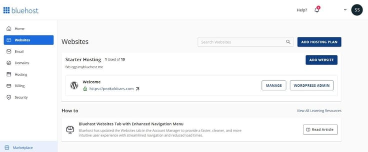 Bluehost starter plan