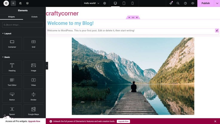 Elementor editor Elementor editor