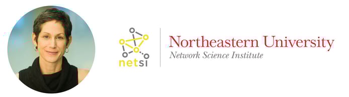 Kate Coronges, Executive Director of NetSI and logo Kate Coronges, Executive Director of NetSI and logo