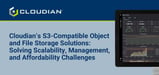 Cloudian’s S3-Compatible Object and File Storage Systems: Solving the Scalability, Management, and Affordability Challenges of Hosts and MSPs