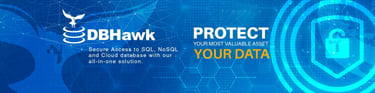 DBHawk logo and text reading "Protect Your Data"