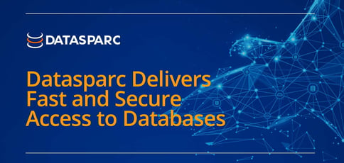 Datasparc Delivers Fast And Secure Access To Databases