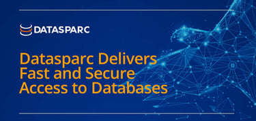 Datasparc Delivers Fast And Secure Access To Databases
