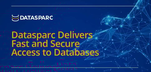 Datasparc Delivers Fast And Secure Access To Databases Datasparc Delivers Fast And Secure Access To Databases