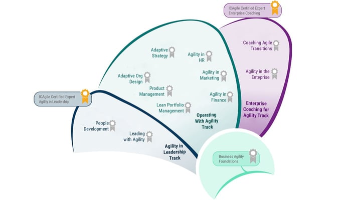 Business Agility Learning Roadmap Business Agility Learning Roadmap