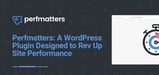 Boost Site Speed with Perfmatters: A WordPress Plugin Designed to Rev Up Performance