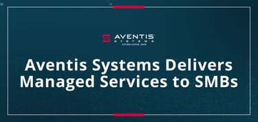 Aventis Systems Helps Smbs Establish Web Presence