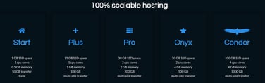 Screenshot of Duplika hosting tiers