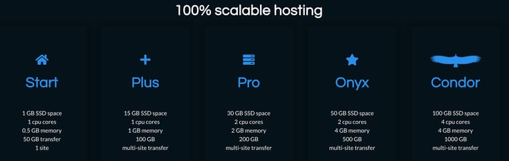 Screenshot of Duplika hosting tiers Screenshot of Duplika hosting tiers
