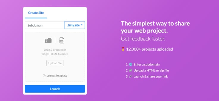 Screenshot from Tiiny Host