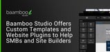 Baamboo Studio Offers Custom Templates and Website Plugins to Help SMBs and Site Builders
