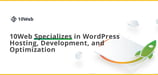 10Web Specializes in Automated WordPress Hosting, Development, and Optimization