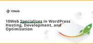 10Web Specializes in Automated WordPress Hosting, Development, and Optimization