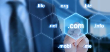 What is Unlimited Domain Web Hosting  