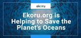 Powered by Green Servers, Ekoru Donates 60% of Its Profits to Environmental Causes to Save Our Oceans
