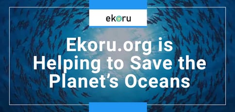 Ekoru Is Helping Save Our Oceans