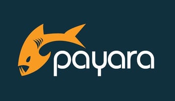 Payara logo Payara logo