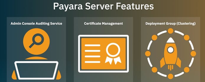 Screenshot of Payara Server features Screenshot of Payara Server features
