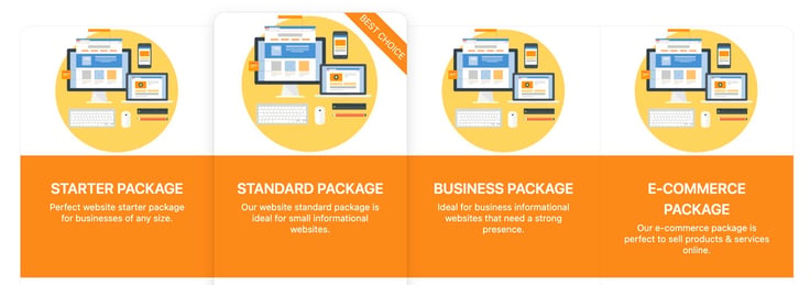 Screenshot from TPP Web Solutions