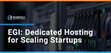 How EGI's Colocation, Reseller, and Managed Dedicated Hosting Services Uniquely Suit Startups at Every Stage of Growth