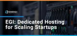 How EGI's Colocation, Reseller, and Managed Dedicated Hosting Services Uniquely Suit Startups at Every Stage of Growth
